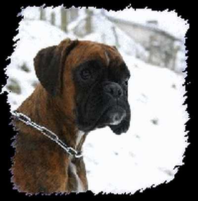 Arianne's queen des Zé de Philoctête