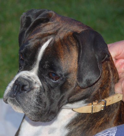 Thebes 2 des Zé de Philoctête