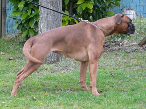 Donnamiute des Zé de Philoctête